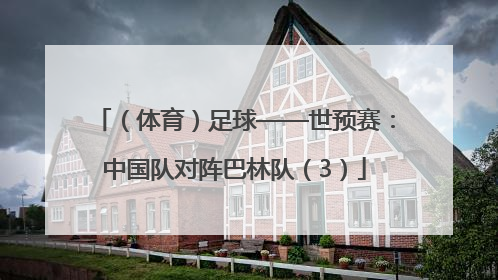 （体育）足球——世预赛：中国队对阵巴林队（3）