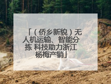 (侨乡新貌)无人机运输、智能分拣 科技助力浙江杨梅产销
