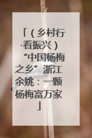 （乡村行·看振兴）“中国杨梅之乡”浙江余姚：一颗杨梅富万家