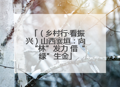 （乡村行·看振兴）山西襄垣：向“林”发力 借“绿”生金