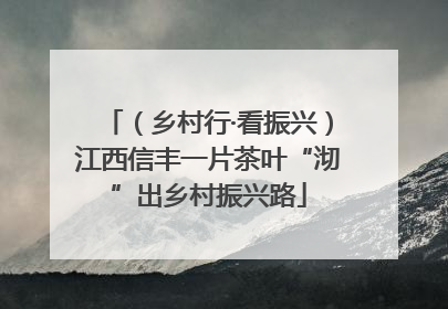 （乡村行·看振兴）江西信丰一片茶叶“沏”出乡村振兴路