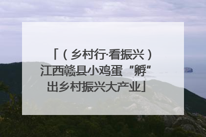 （乡村行·看振兴）江西赣县小鸡蛋“孵”出乡村振兴大产业