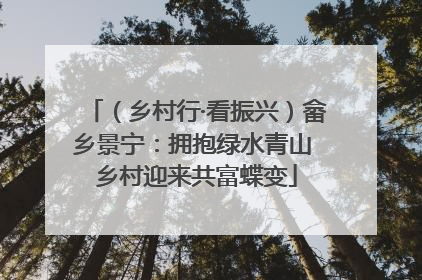 （乡村行·看振兴）畲乡景宁：拥抱绿水青山 乡村迎来共富蝶变
