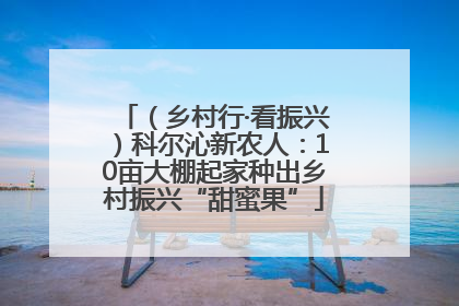 （乡村行·看振兴）科尔沁新农人：10亩大棚起家种出乡村振兴“甜蜜果”