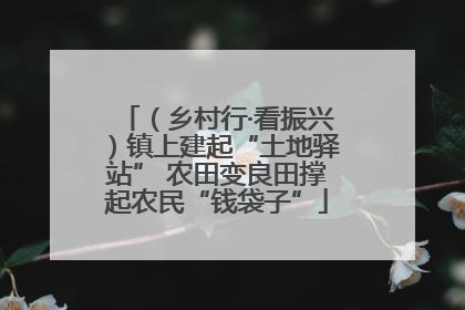 （乡村行·看振兴）镇上建起“土地驿站” 农田变良田撑起农民“钱袋子”