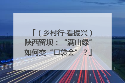 （乡村行·看振兴）陕西留坝：“满山绿”如何变“口袋金”？