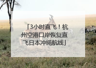 3小时直飞！杭州空港口岸恢复直飞日本冲绳航线