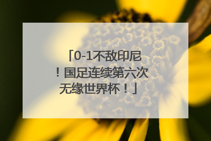 0-1不敌印尼！国足连续第六次无缘世界杯！