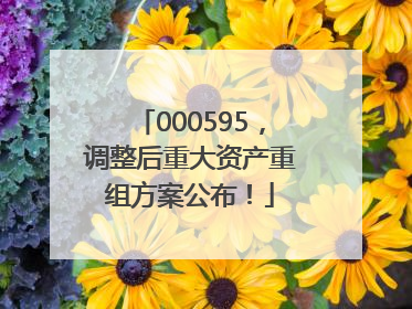 000595，调整后重大资产重组方案公布！