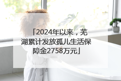 2024年以来，芜湖累计发放孤儿生活保障金2758万元