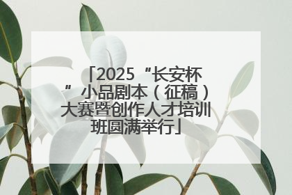 2025“长安杯”小品剧本（征稿）大赛暨创作人才培训班圆满举行