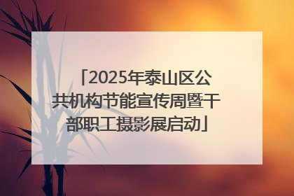 2025年泰山区公共机构节能宣传周暨干部职工摄影展启动