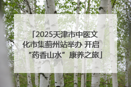 2025天津市中医文化市集蓟州站举办 开启“药香山水”康养之旅