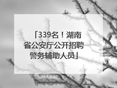339名！湖南省公安厅公开招聘警务辅助人员
