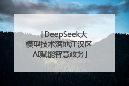 DeepSeek大模型技术落地江汉区 AI赋能智慧政务