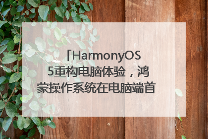 HarmonyOS 5重构电脑体验，鸿蒙操作系统在电脑端首次亮相丨新经济观察