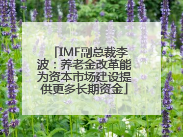 IMF副总裁李波：养老金改革能为资本市场建设提供更多长期资金