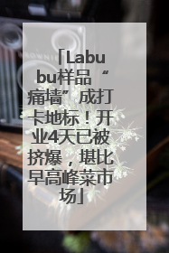 Labubu样品“痛墙”成打卡地标！开业4天已被挤爆，堪比早高峰菜市场